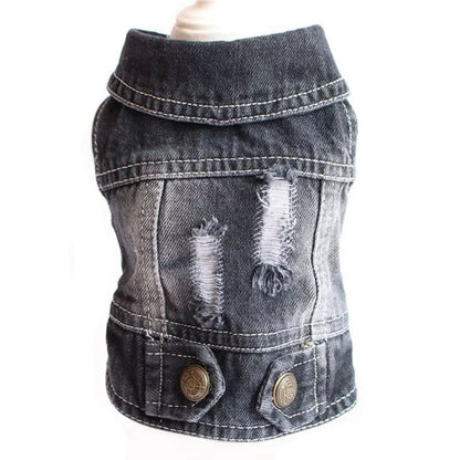 PawVibe Denim Jacket – Cool & Comfy Jean Style for Trendy Pups