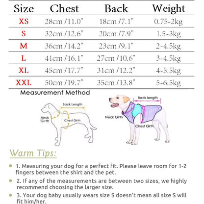 PawVibe Denim Jacket – Cool & Comfy Jean Style for Trendy Pups