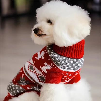 Holiday Pet Sweaters – Cozy, Festive Style for Your Furry Little Star