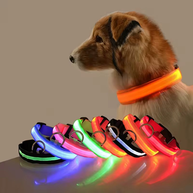 Glowing Dog Collar